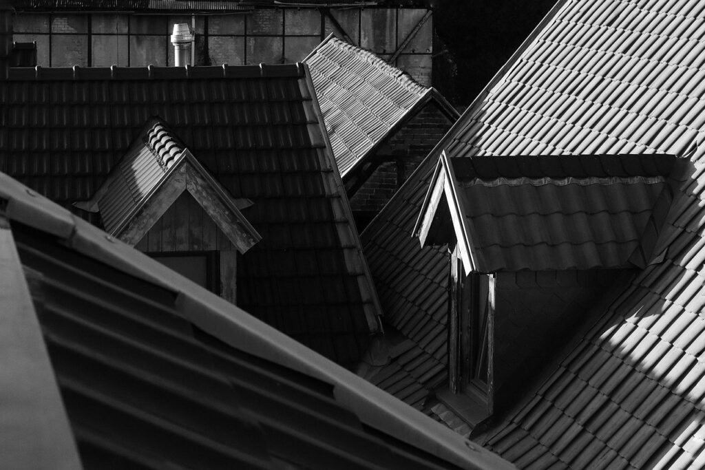 architecture, roofs, building, village, neighborhood, black and white, monochrome, dormer windows